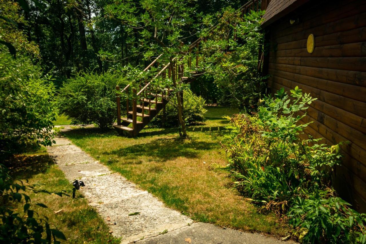 הוילה Wurtsboro Hikers Haven, A Cozy Cabin Loft Above Bashakill Wildlife Refuge מראה חיצוני תמונה